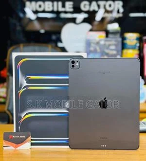 Apple iPad Pro 13 (2024) (12GB/256GB) Gray